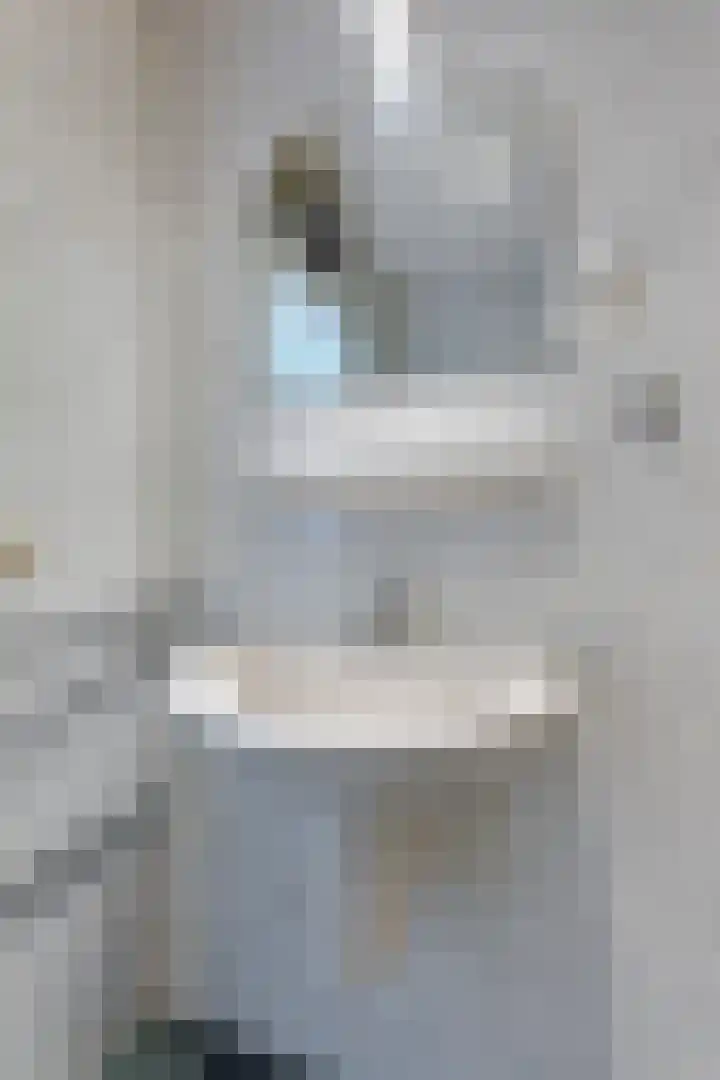 Gravenstraat 4 Geldrop thumbnail 27