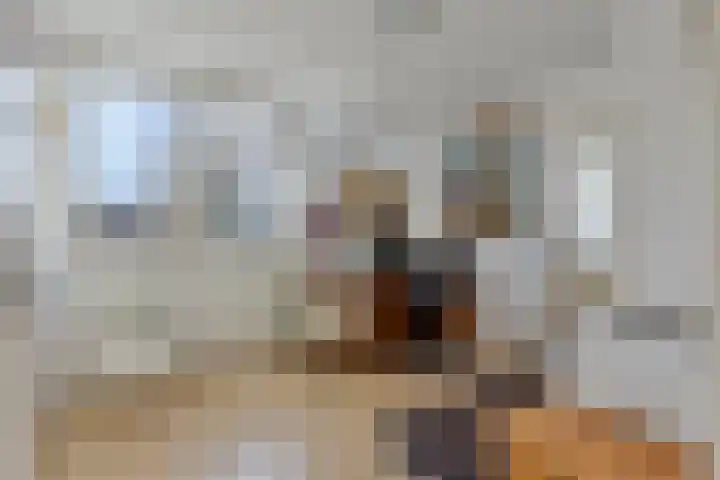 Gravenstraat 4 Geldrop thumbnail 28