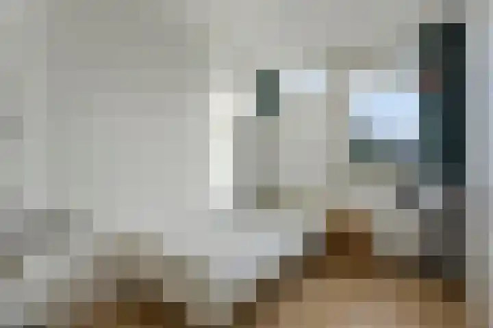 Gravenstraat 4 Geldrop thumbnail 29