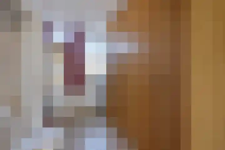 Gravenstraat 4 Geldrop thumbnail 30