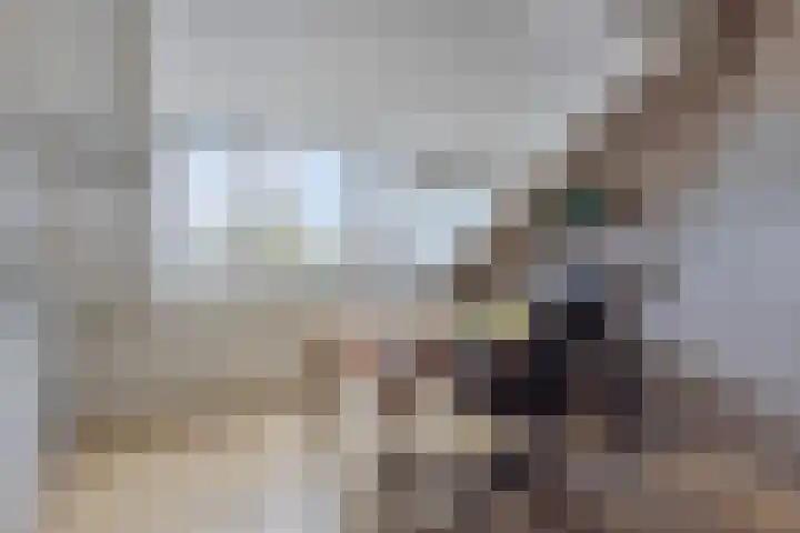 Gravenstraat 4 Geldrop thumbnail 32