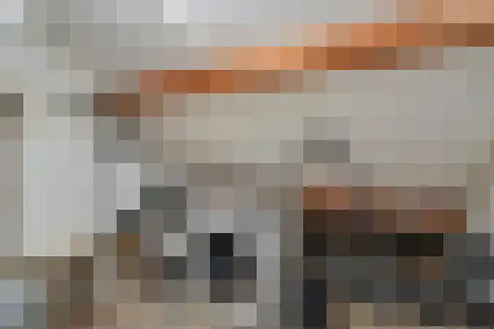 Gravenstraat 4 Geldrop thumbnail 35