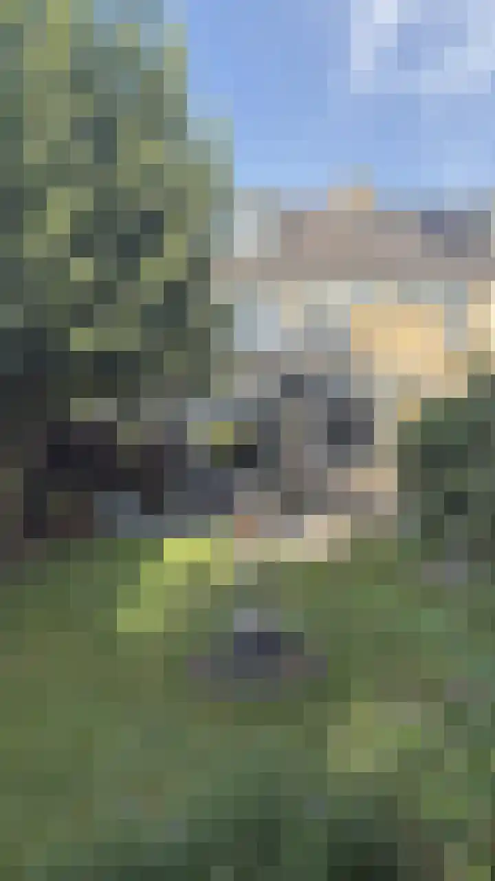 Gravenstraat 4 Geldrop thumbnail 37