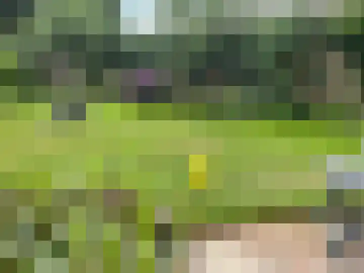 Gravenstraat 4 Geldrop thumbnail 39