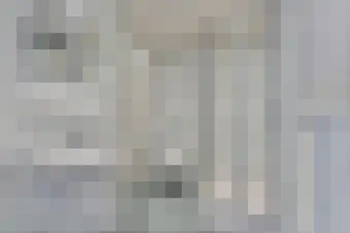 Gravenstraat 4 Geldrop thumbnail 4