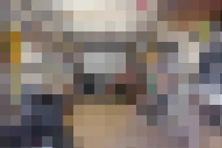 Gravenstraat 4 Geldrop thumbnail 41