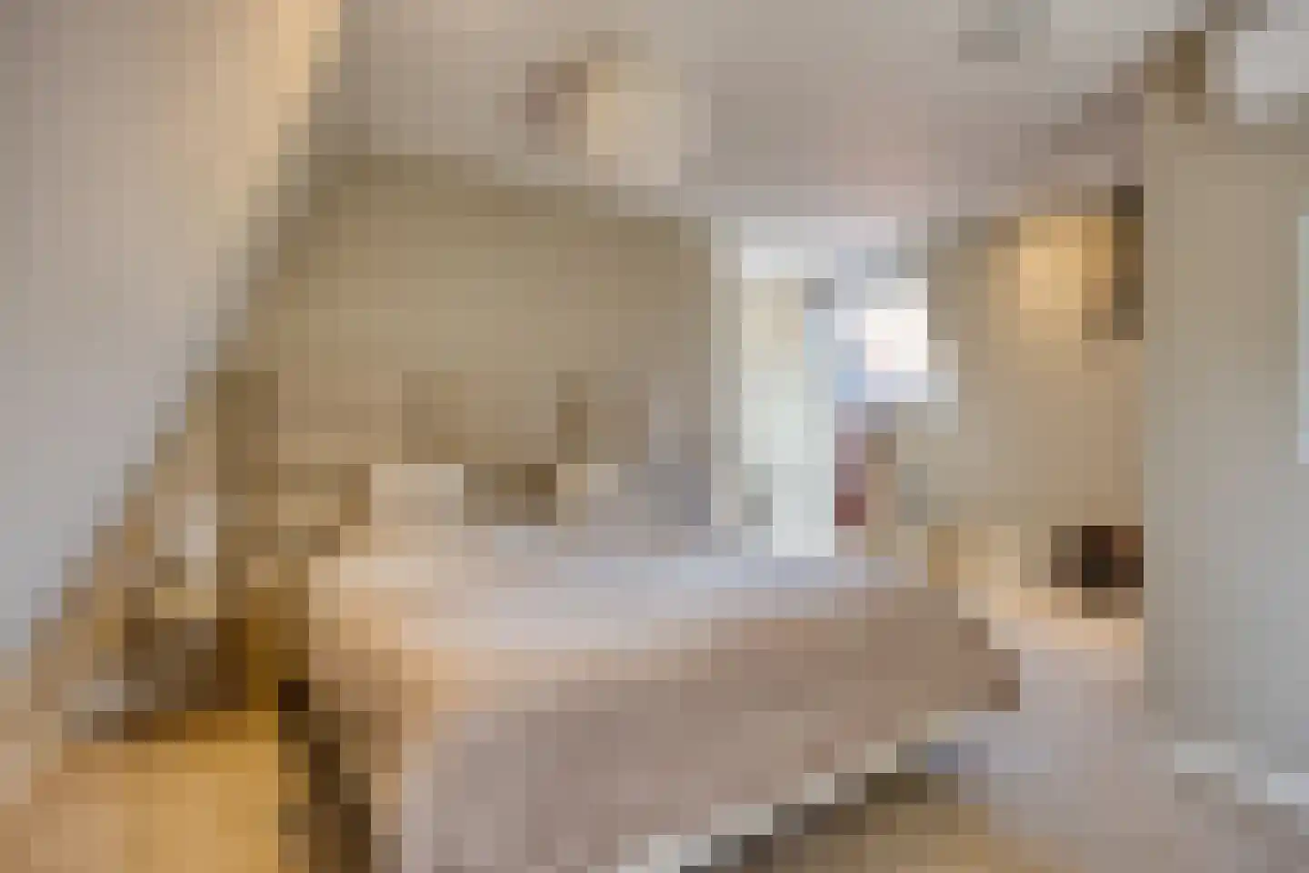 Gravenstraat 44 Hoorn thumbnail 6
