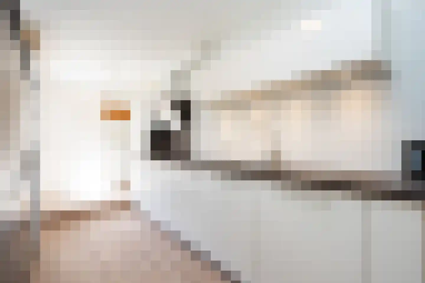 Gravenstraat 5 A Den Burg thumbnail 14