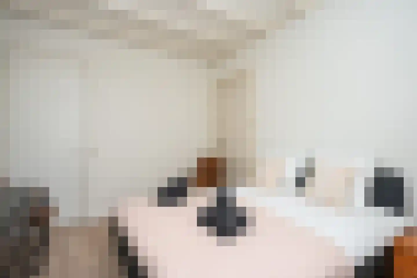 Gravenstraat 5 A Den Burg thumbnail 24