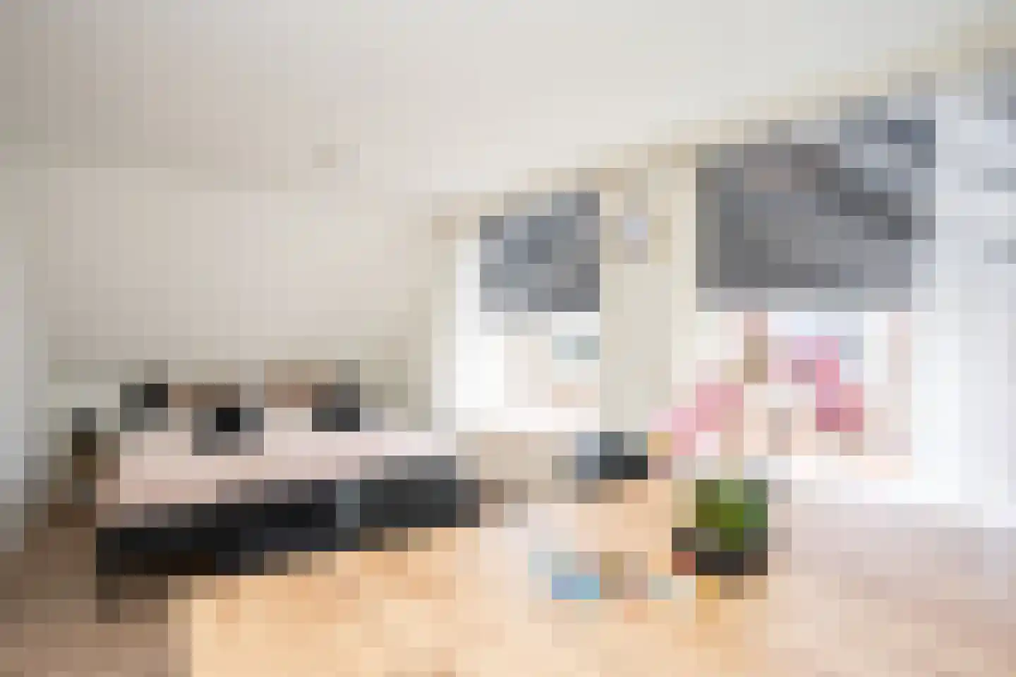Gravenstraat 5 A Den Burg thumbnail 31
