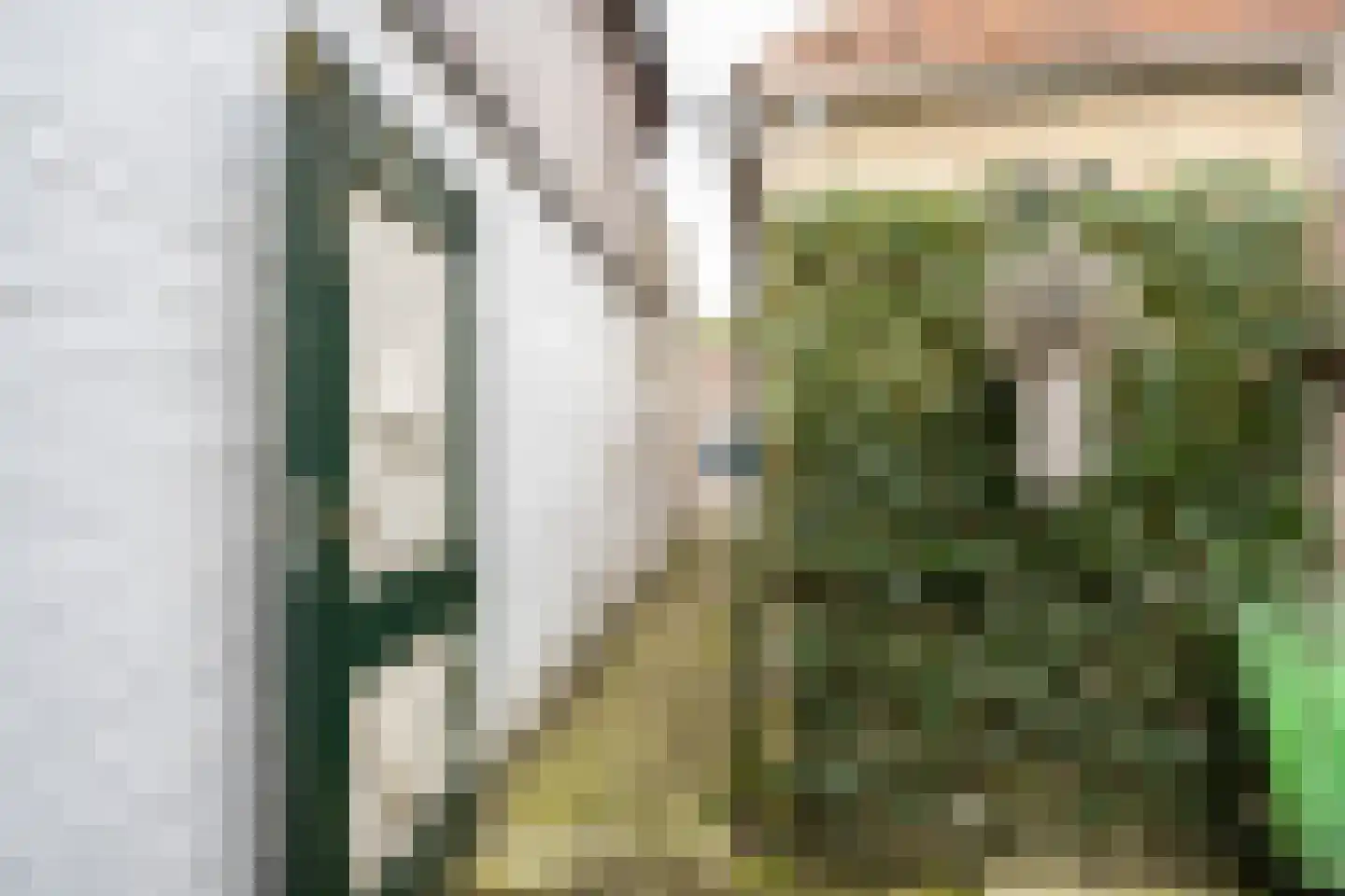 Gravenstraat 5 A Den Burg thumbnail 52