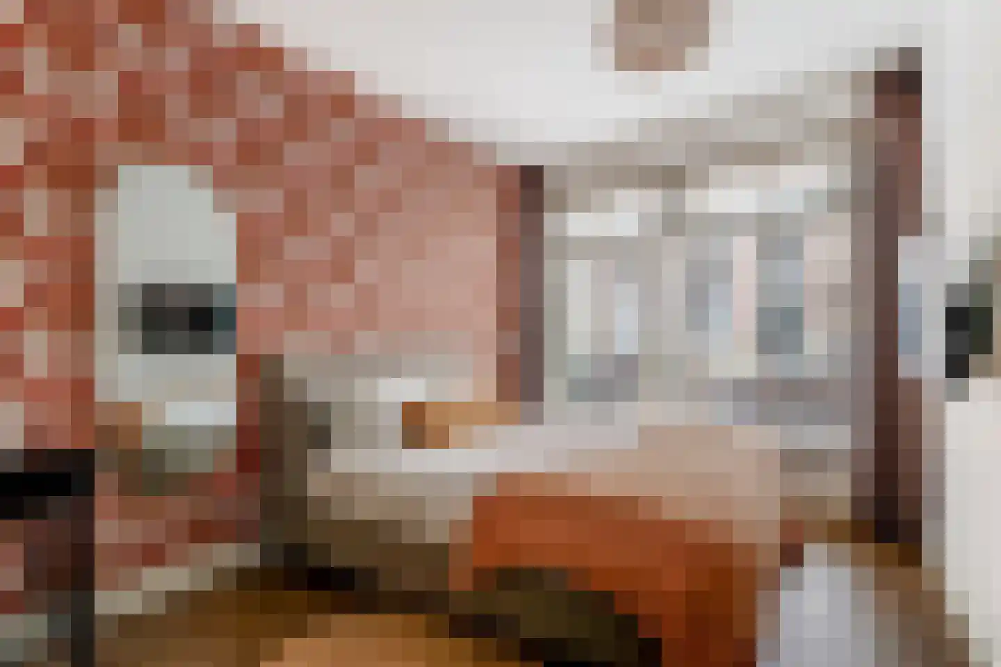 Gravenstraat 50 Hoorn thumbnail 20