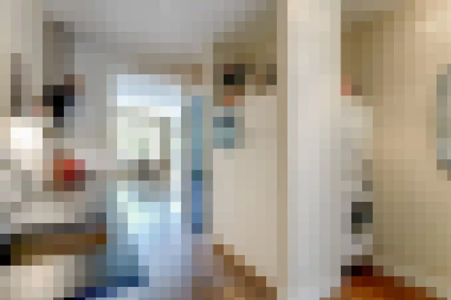 Gravenstraat 50 Hoorn thumbnail 8