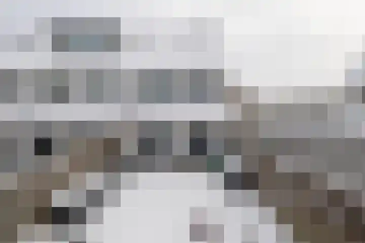 Gravenstraat 63 Alphen aan den Rijn thumbnail 24