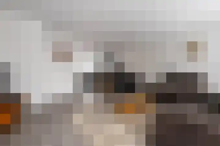 Gravenstraat 63 Alphen aan den Rijn thumbnail 4