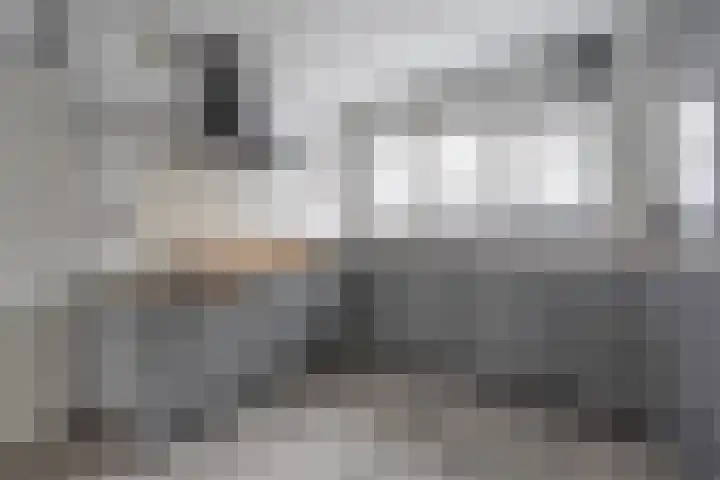 Gravenstraat 63 Alphen aan den Rijn thumbnail 6
