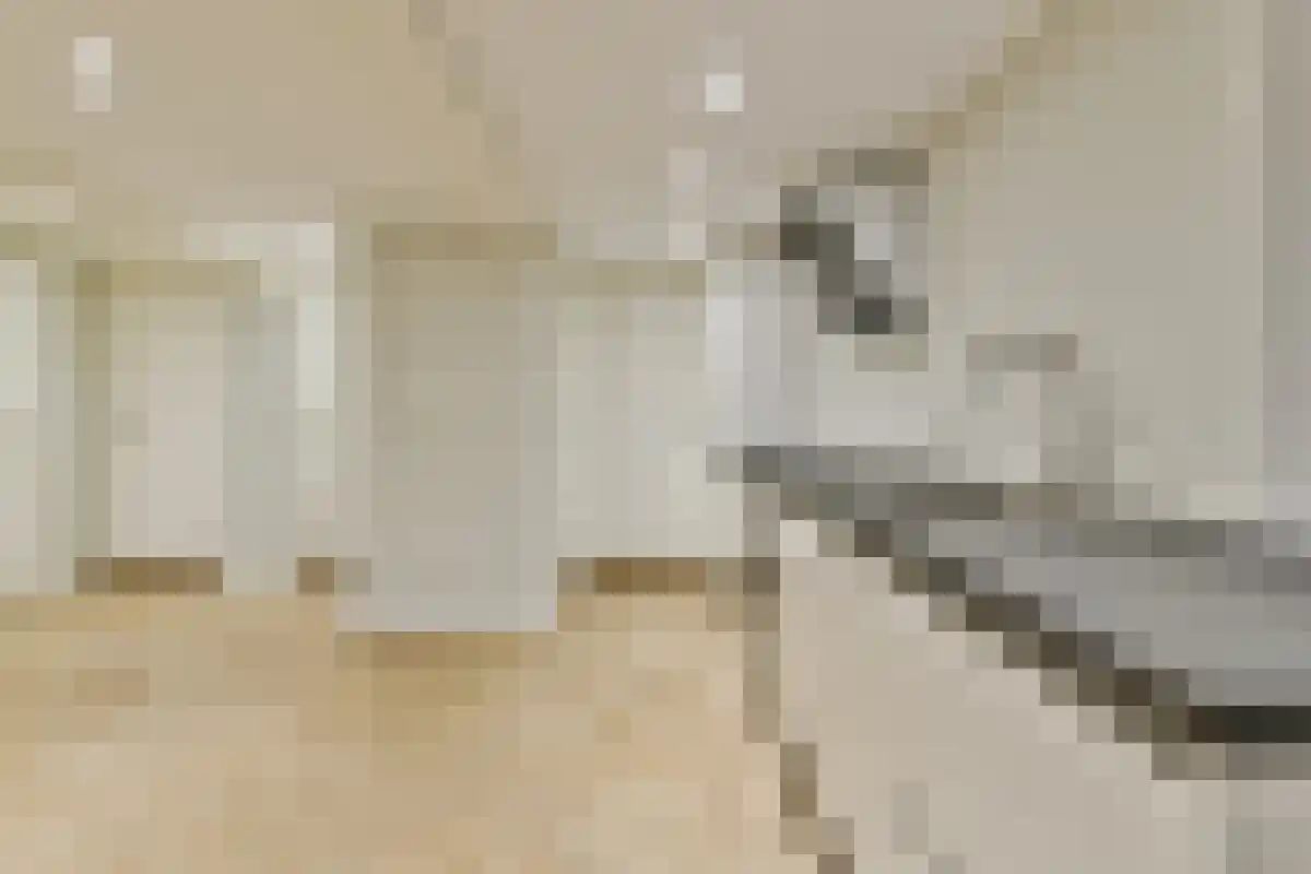 Gravenstraat 66 Amsterdam thumbnail 4