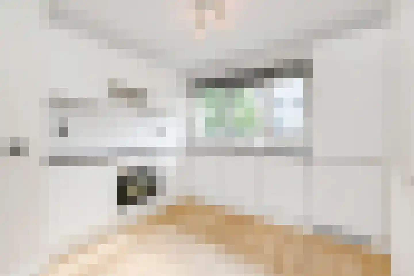 Gravenstraat 67 Alphen aan den Rijn thumbnail 15