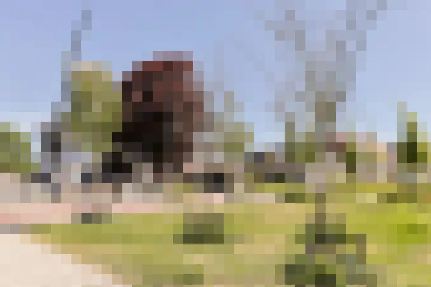 Gravenstraat 93 Alphen aan den Rijn thumbnail 36