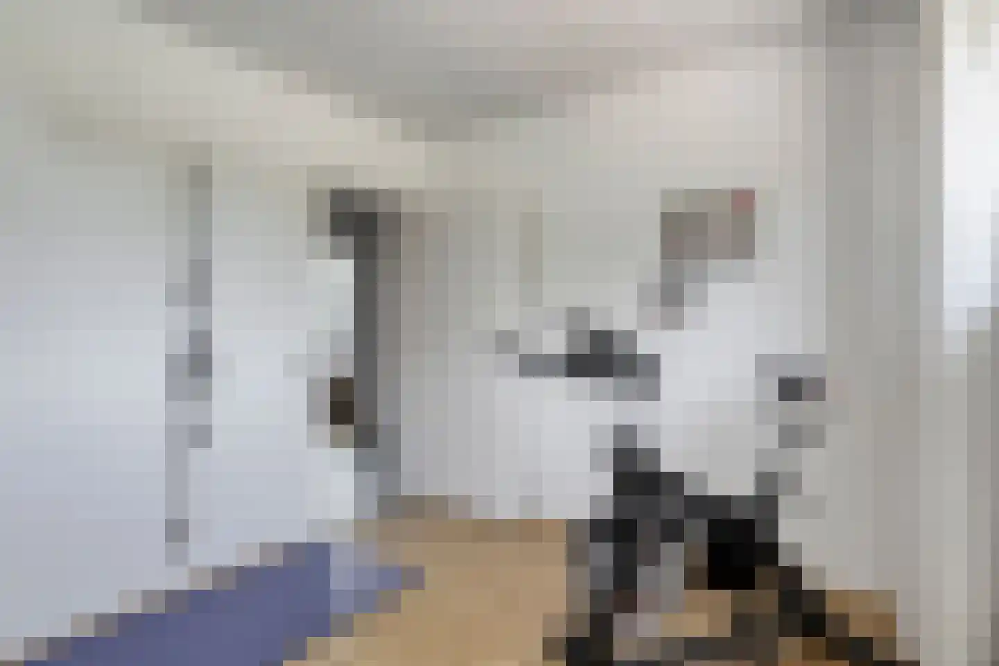 Gravenweg 10 Eygelshoven thumbnail 20