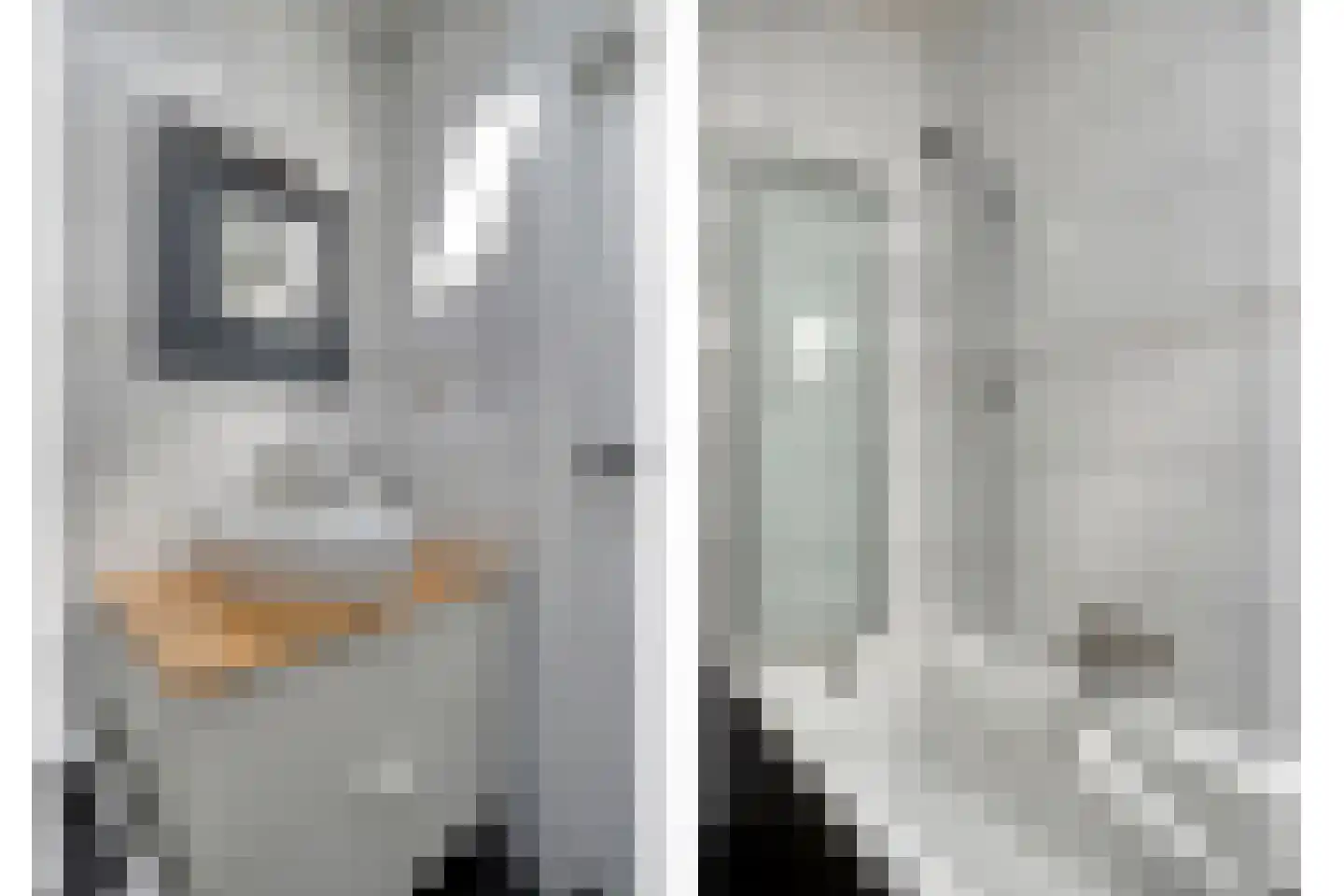 Gravenweg 10 Eygelshoven thumbnail 22