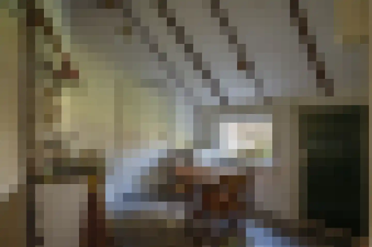 Gravenweg 11 Wijhe thumbnail 21
