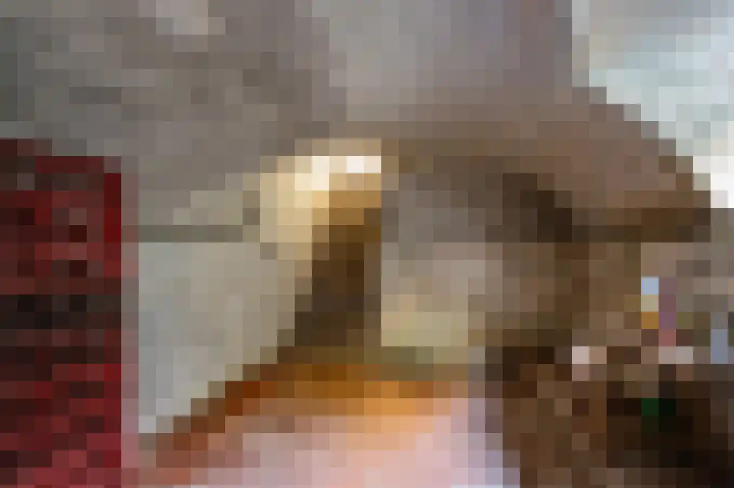 Gravenweg 11 Wijhe thumbnail 23