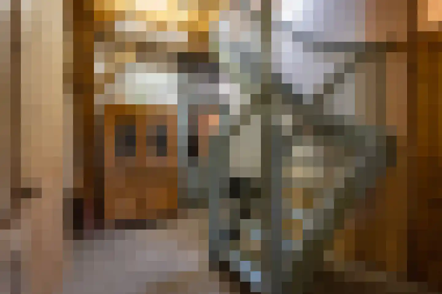 Gravenweg 11 Wijhe thumbnail 24