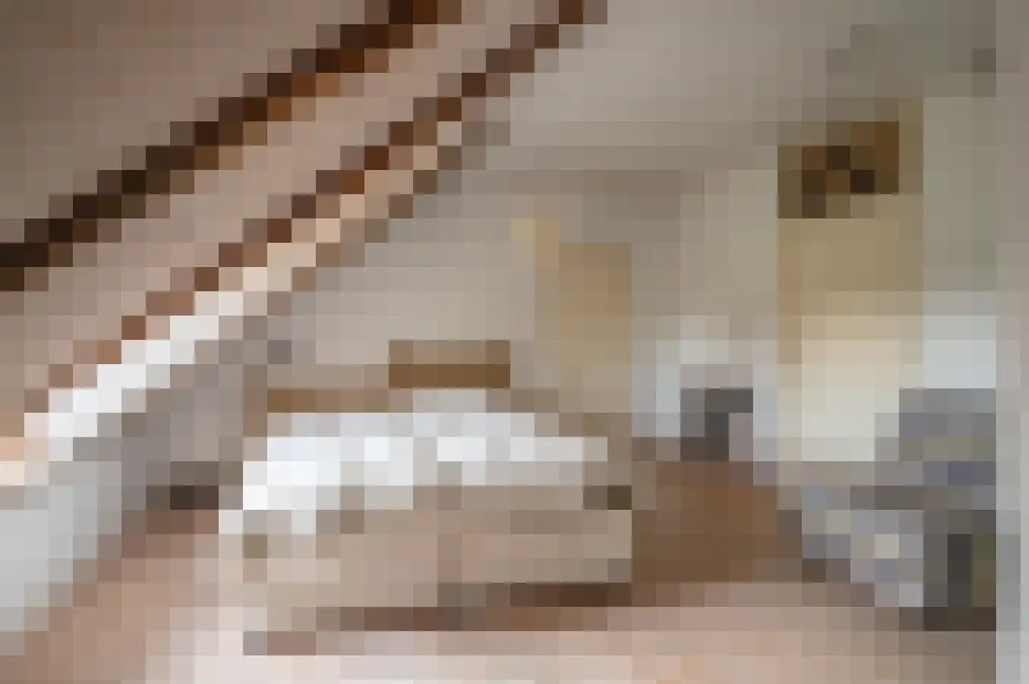Gravenweg 11 Wijhe thumbnail 31