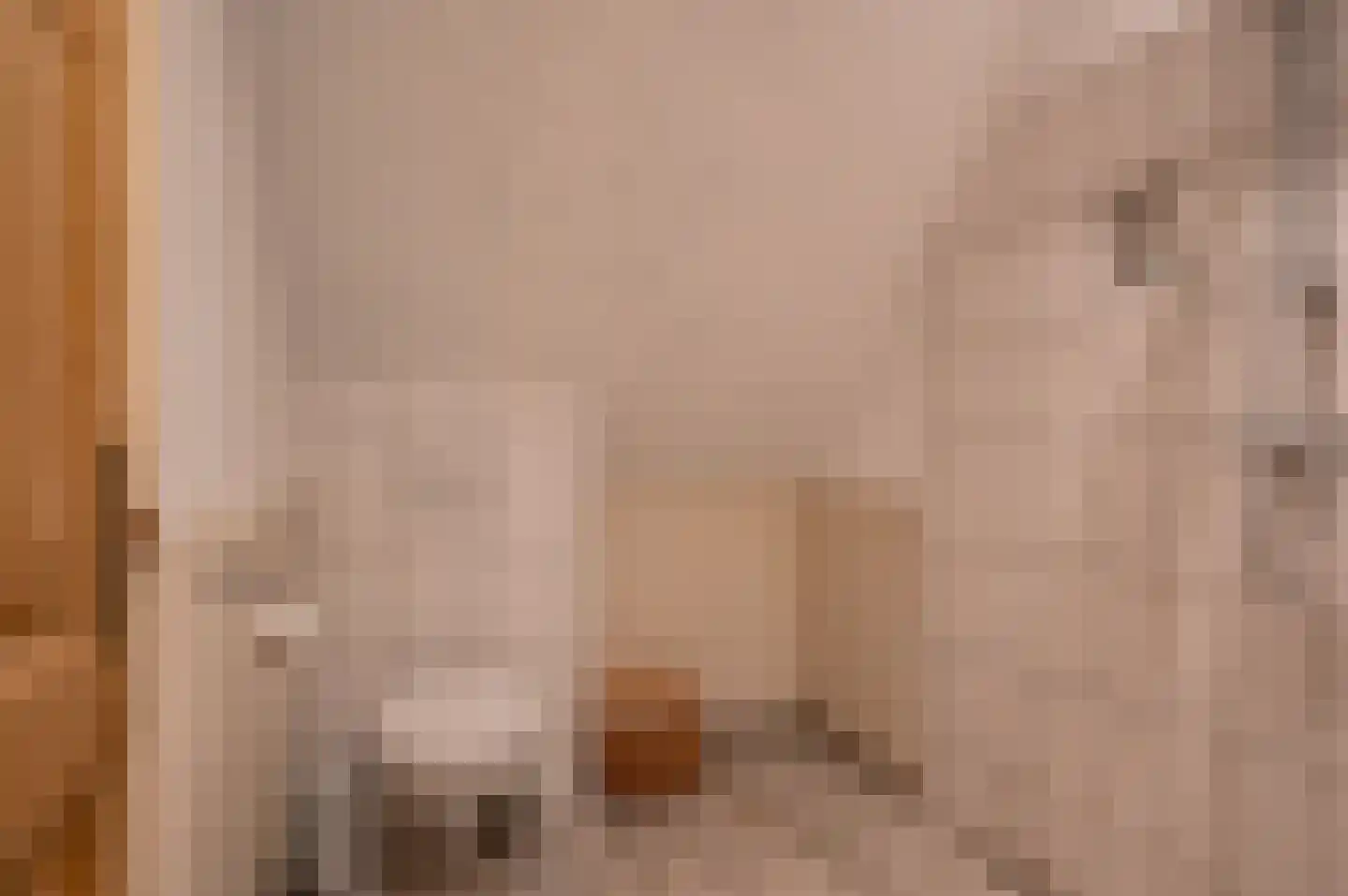 Gravenweg 11 Wijhe thumbnail 34