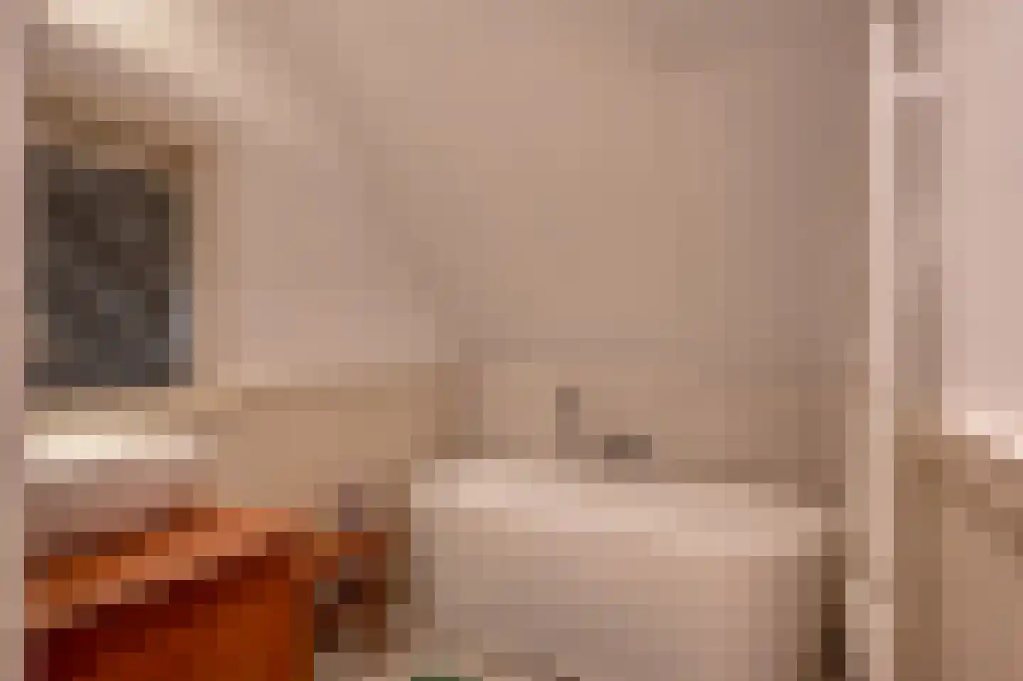 Gravenweg 11 Wijhe thumbnail 35