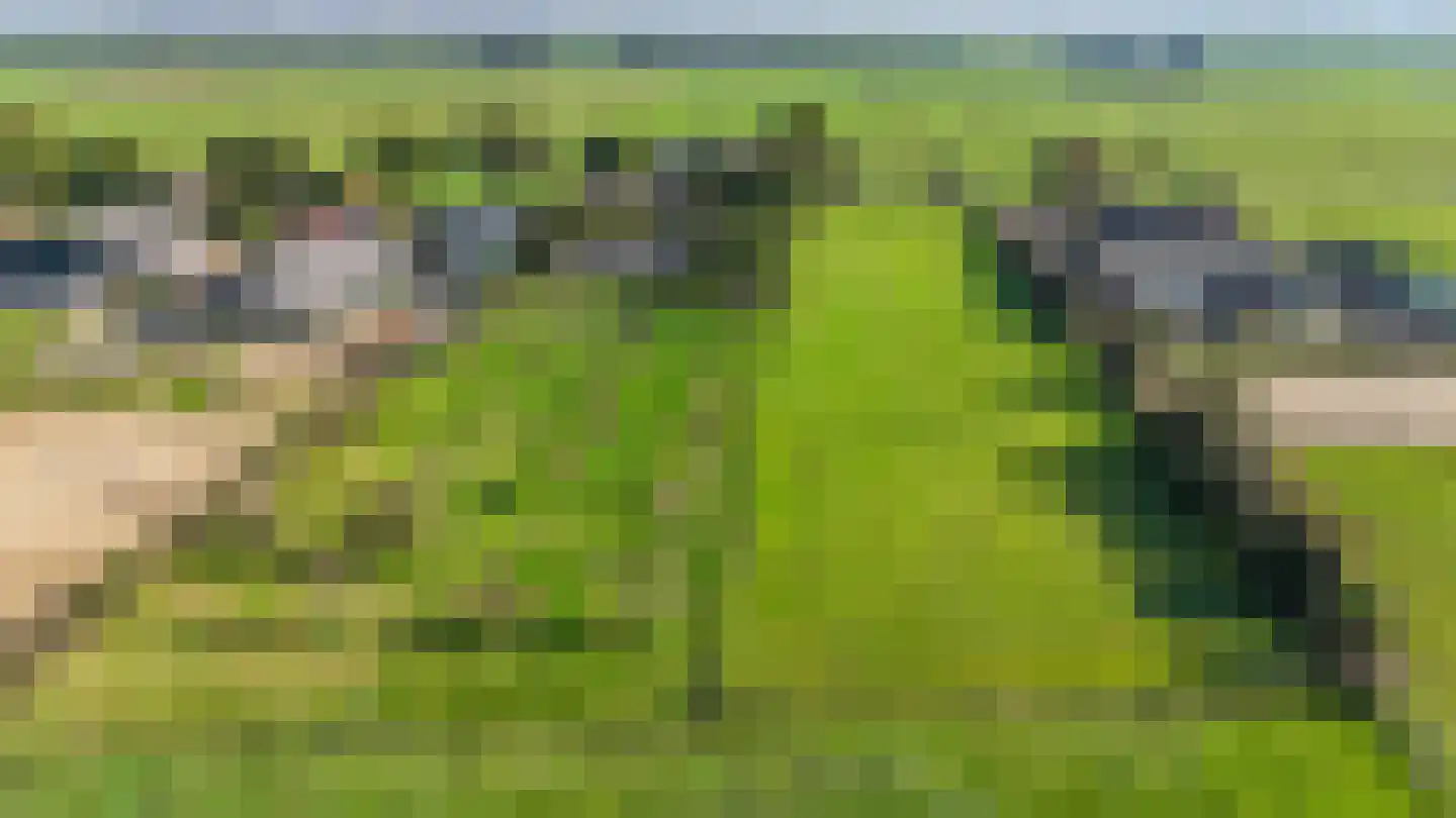 Gravenweg 11 Wijhe thumbnail 4