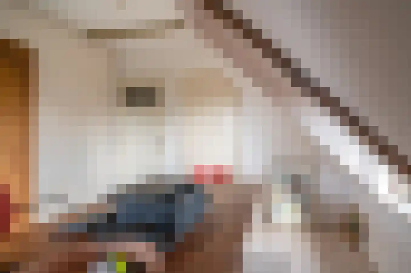 Gravenweg 11 Wijhe thumbnail 41