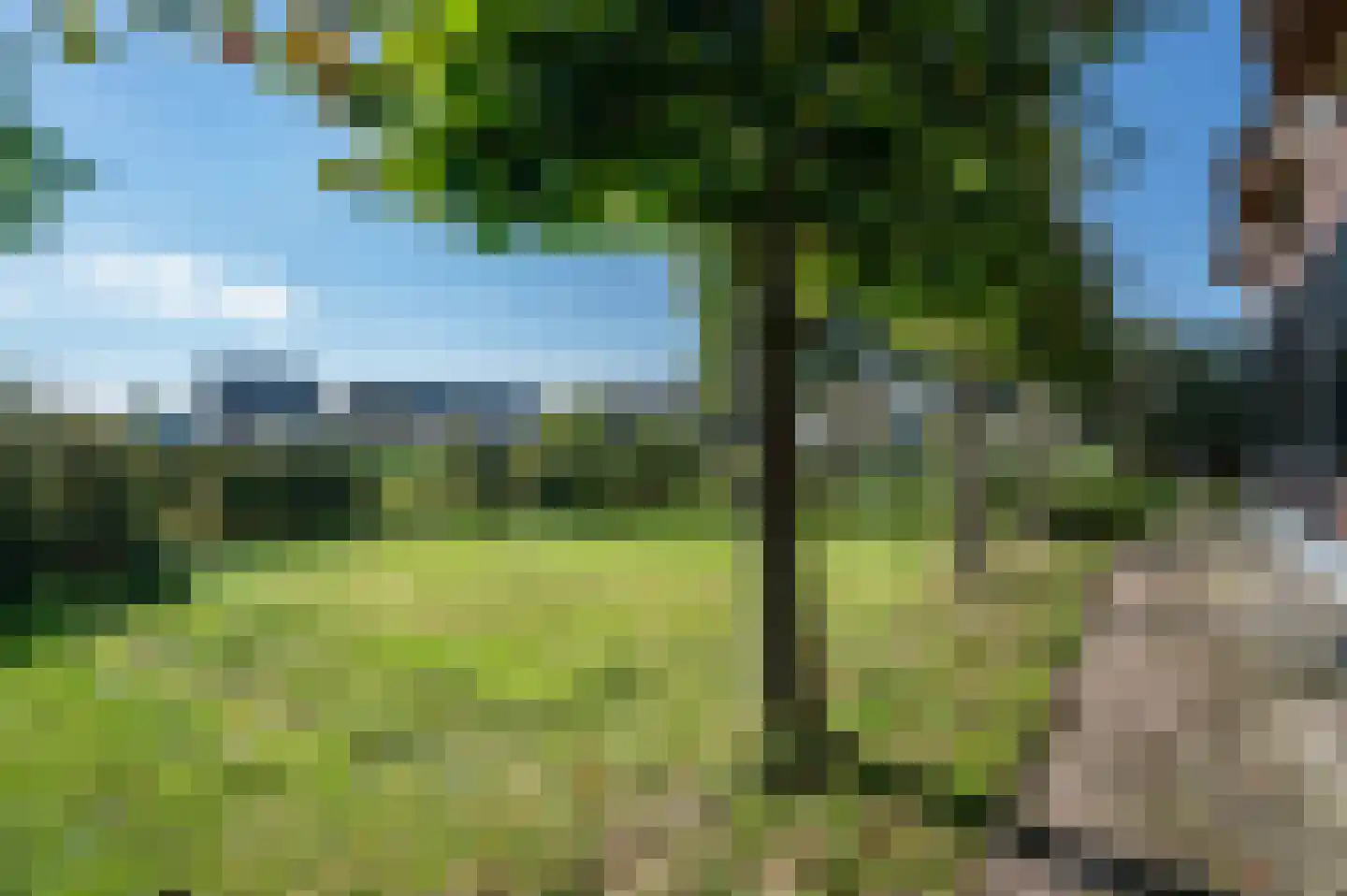 Gravenweg 11 Wijhe thumbnail 57