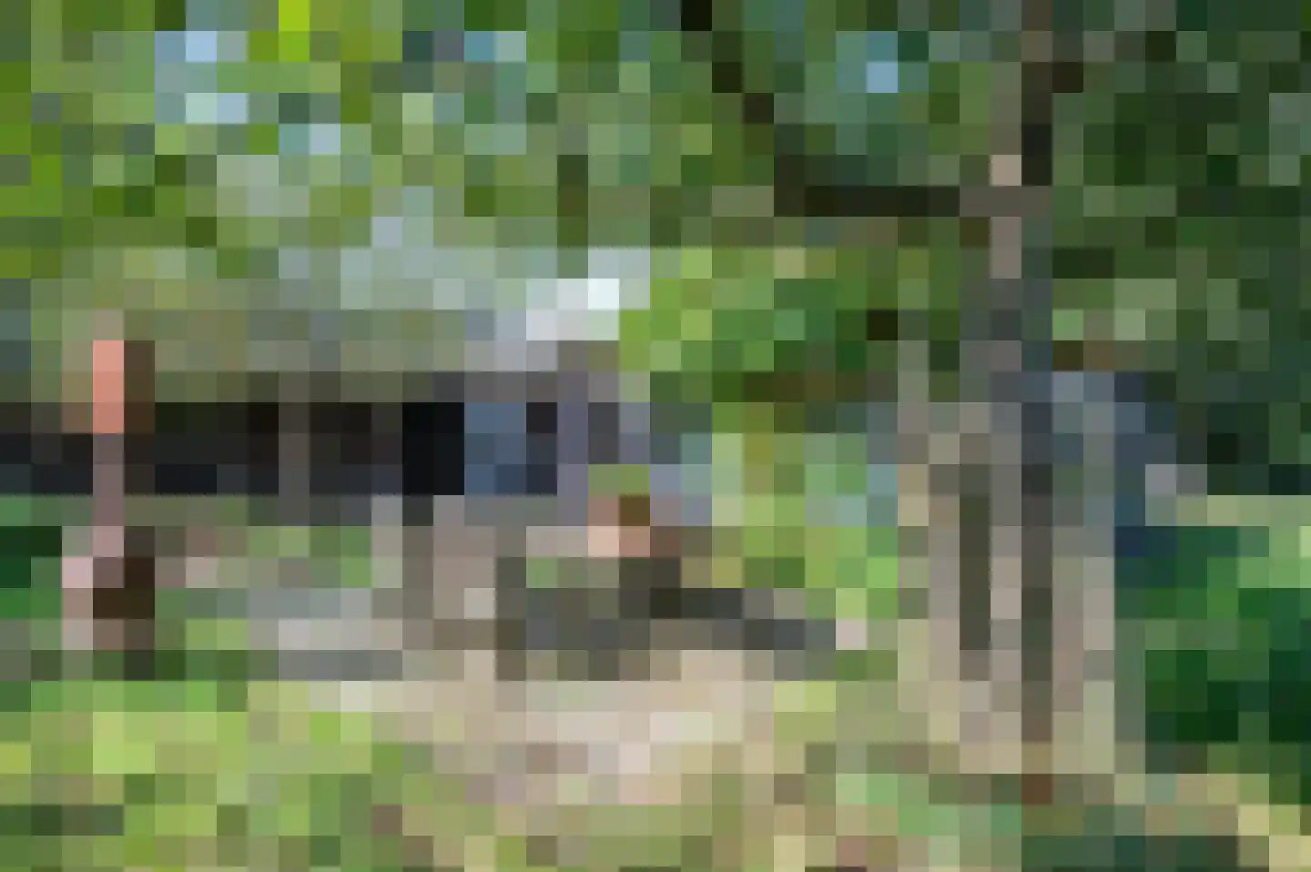 Gravenweg 11 Wijhe thumbnail 62