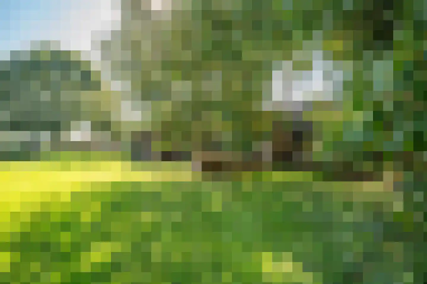Gravenweg 11 Wijhe thumbnail 63