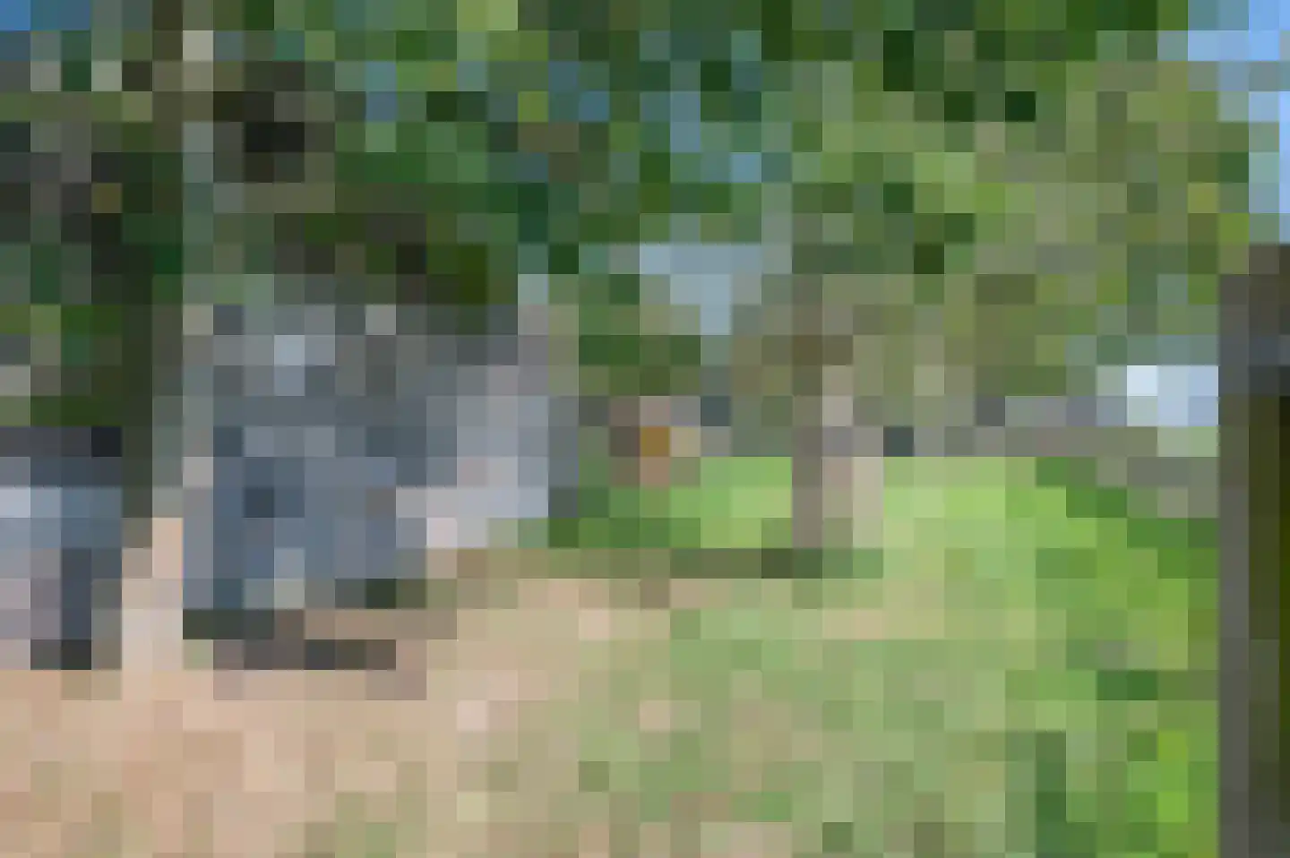 Gravenweg 11 Wijhe thumbnail 67