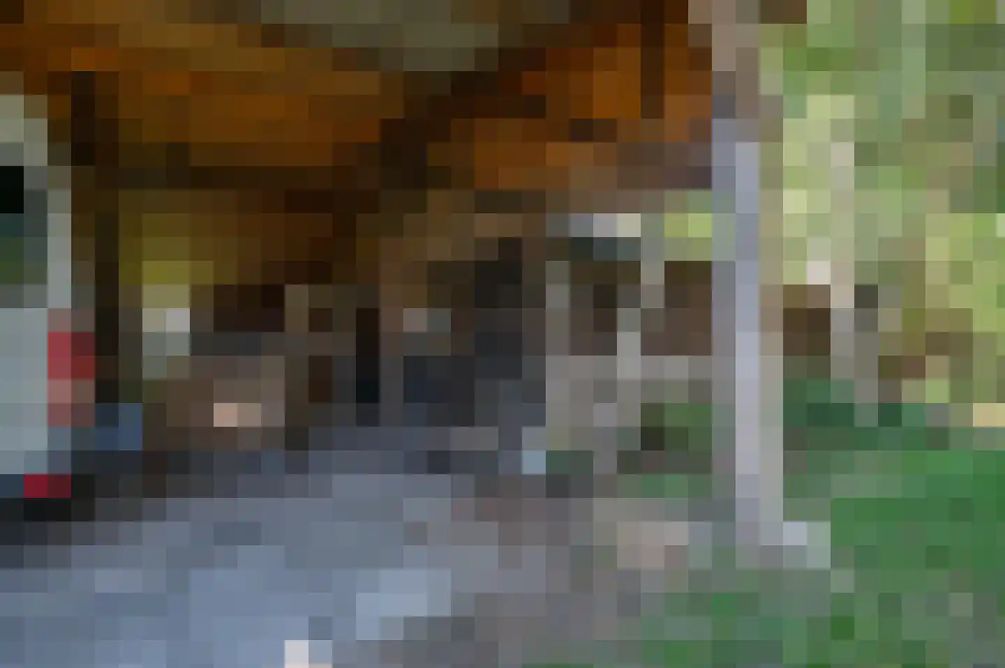 Gravenweg 11 Wijhe thumbnail 68