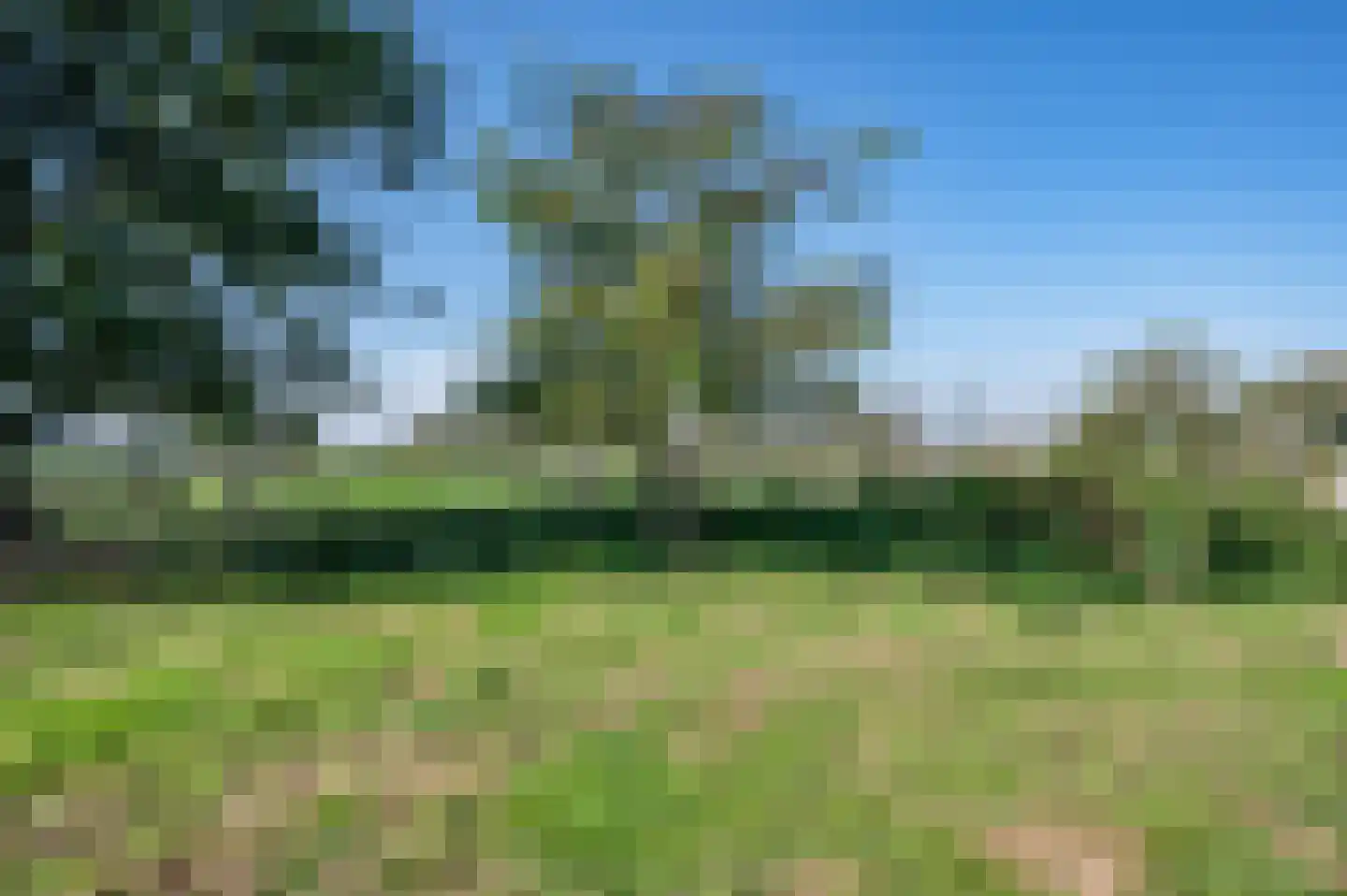 Gravenweg 11 Wijhe thumbnail 70