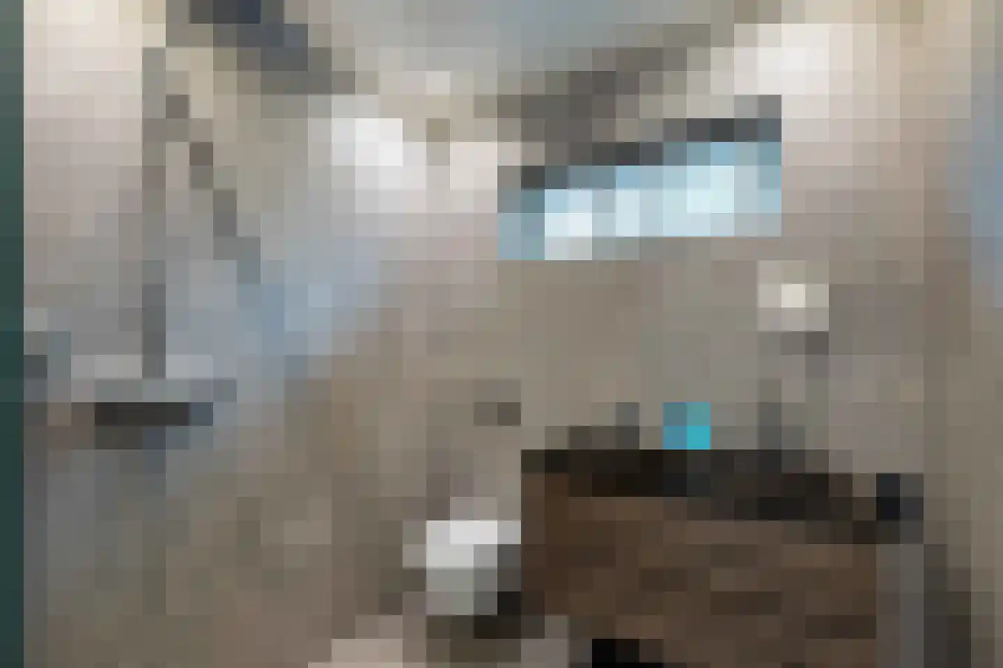 Gravenweg 13 Aadorp thumbnail 13