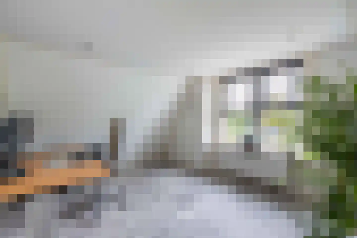 Gravenweg 13 Aadorp thumbnail 18