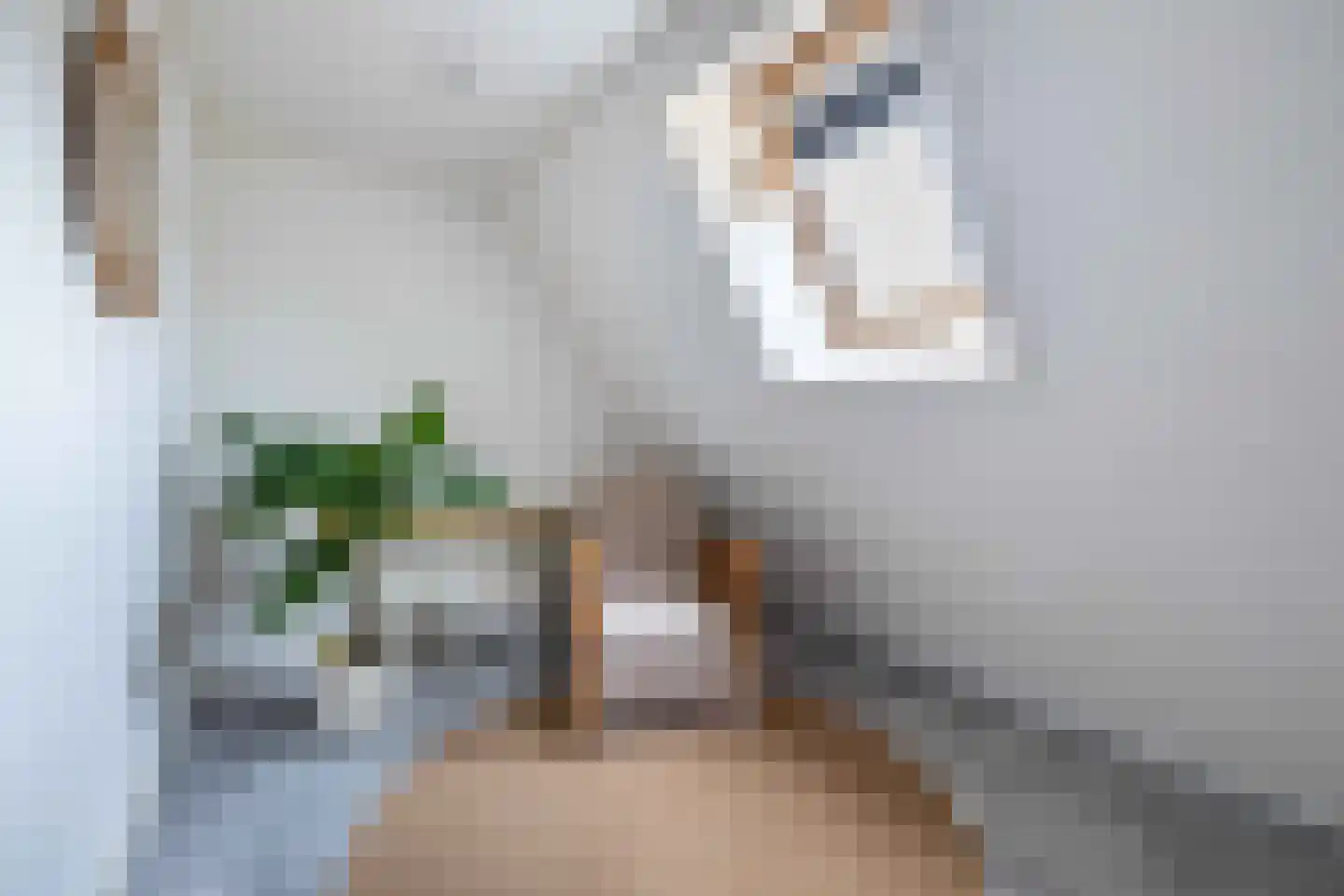 Gravenweg 13 Aadorp thumbnail 19