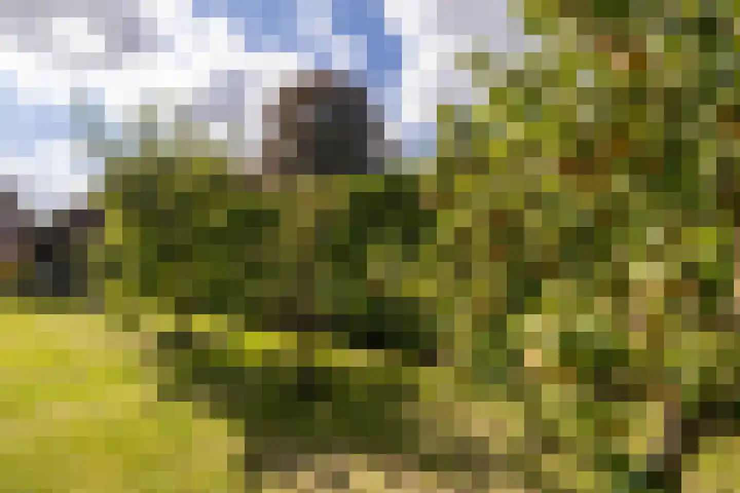 Gravenweg 13 Aadorp thumbnail 26