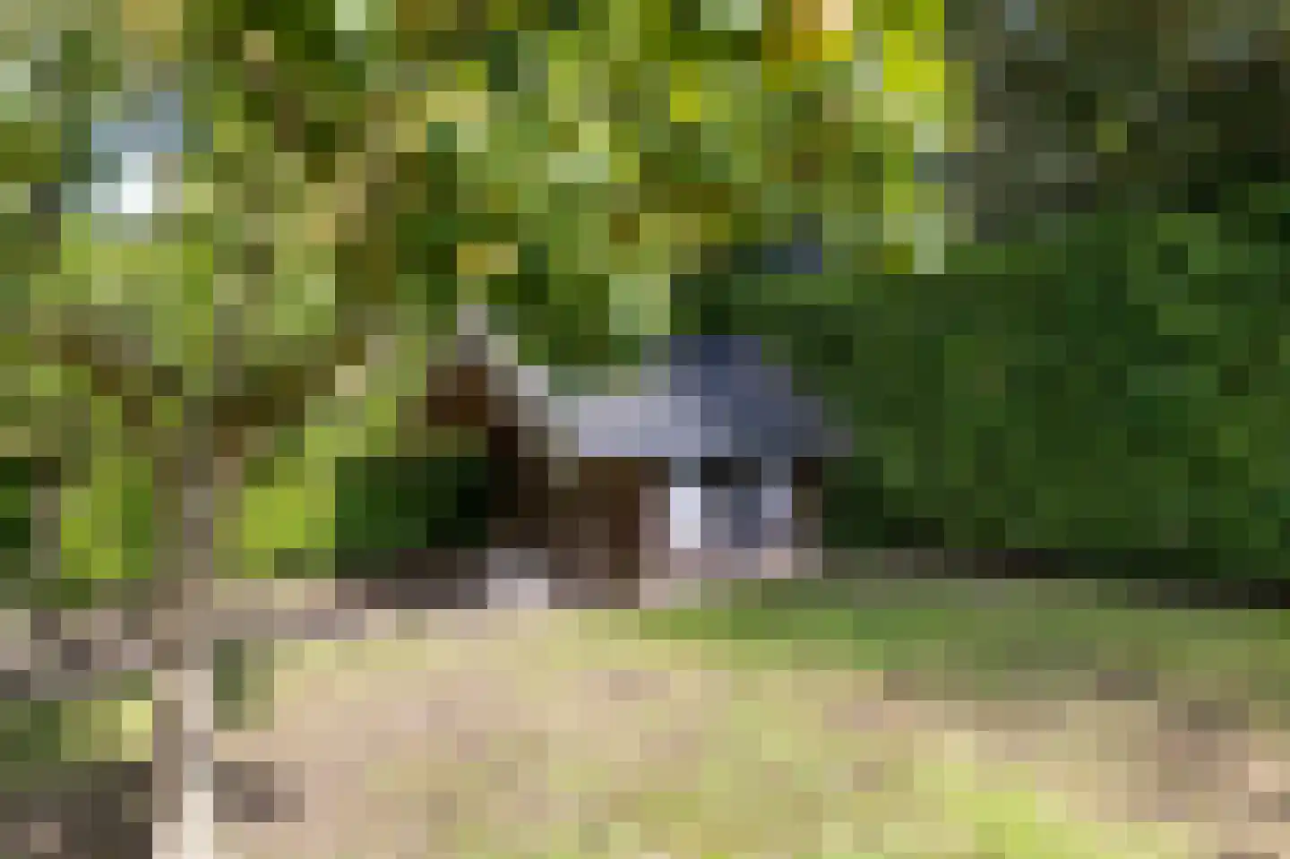 Gravenweg 13 Aadorp thumbnail 27