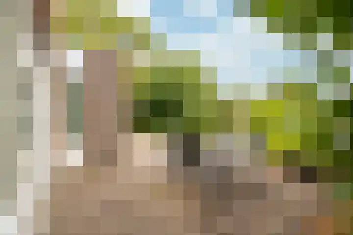 Gravenweg 201 Landgraaf thumbnail 23
