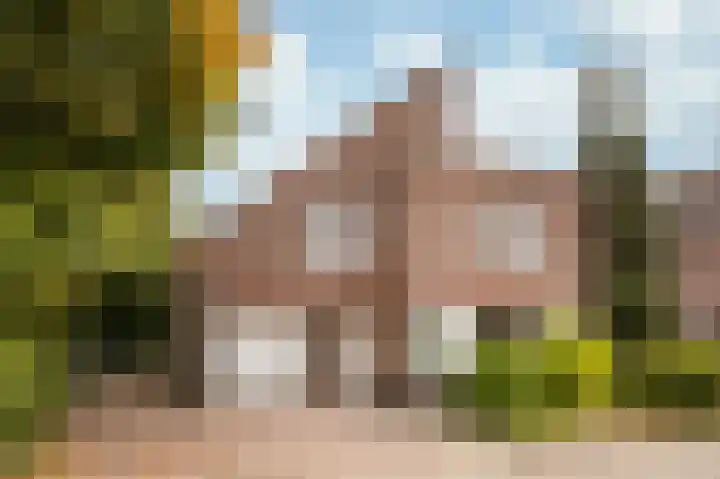 Gravenweg 201 Landgraaf thumbnail 27