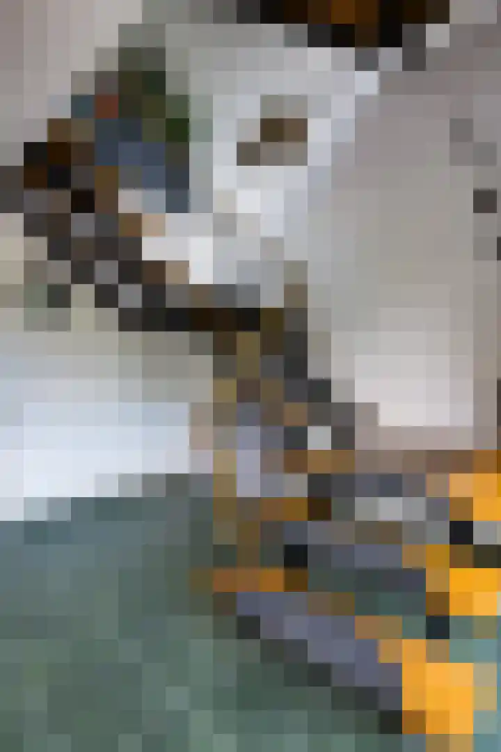 Gravenweg 24 Eygelshoven thumbnail 11