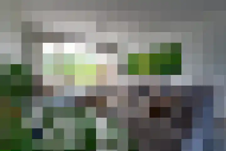 Gravenweg 24 Eygelshoven thumbnail 17