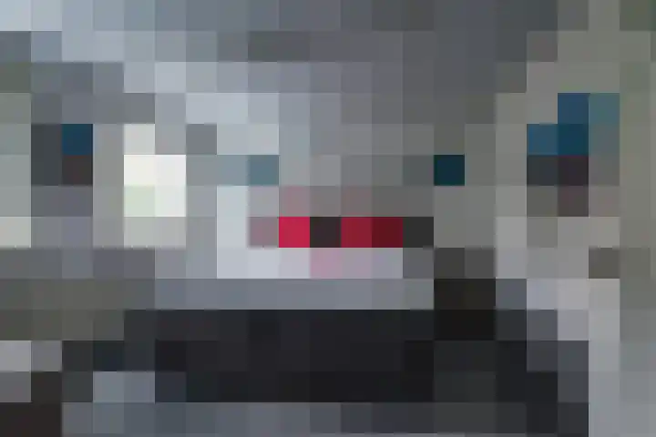 Gravenweg 24 Eygelshoven thumbnail 26