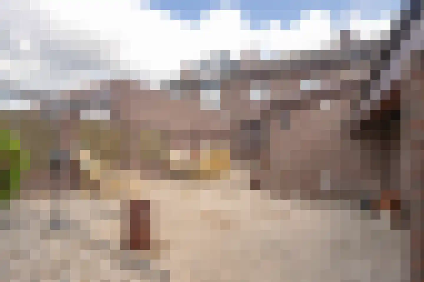 Gravenweg 25 Landgraaf thumbnail 18